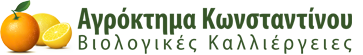 Κωνσταντίνου Logo